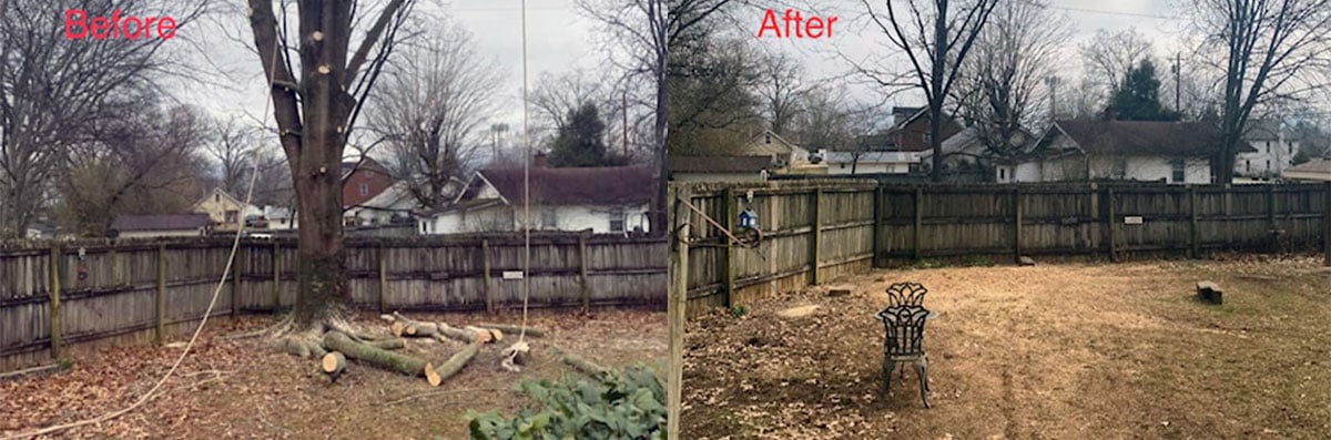 Gallery - Campbell's Tree Service